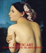 Könyv Erotic Art / Erotische Kunst / El Arte erotico Daniel Kiecol