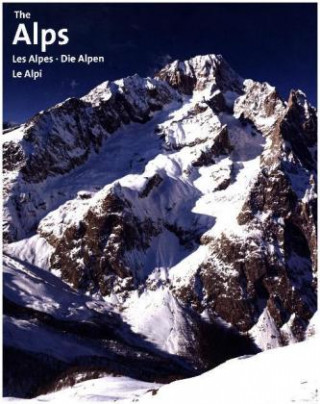Knjiga The Alps Les Alpes Die Alpen Le Alpi Ingeborg Pils