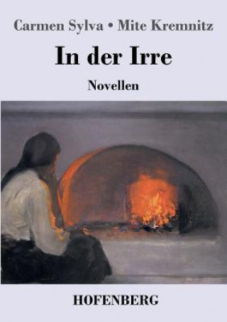 Buch In der Irre Carmen Sylva