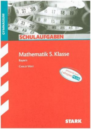 Kniha Schulaufgaben Gymnasium - Mathematik  5. Klasse Carlo Vöst