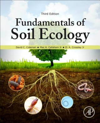 Könyv Fundamentals of Soil Ecology David Coleman