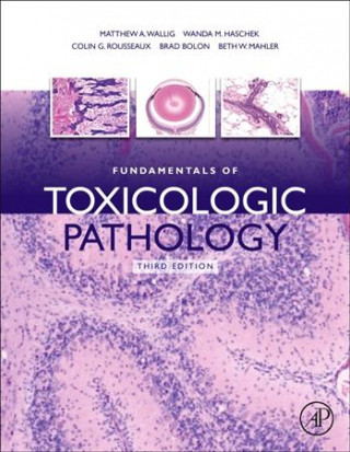 Kniha Fundamentals of Toxicologic Pathology Wanda Haschek