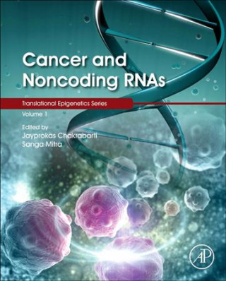 Knjiga Cancer and Noncoding RNAs Jayprokas Chakrabarti