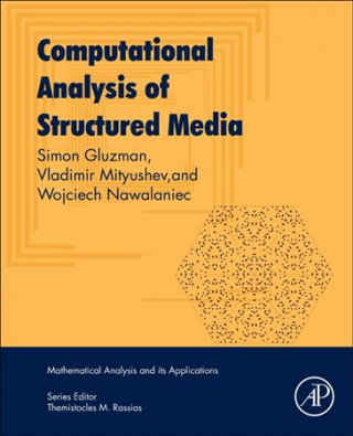 Książka Computational Analysis of Structured Media Simon Gluzman