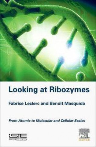 Könyv Looking at Ribozymes Fabrice Leclerc