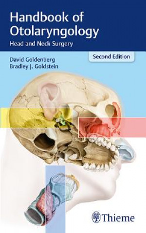 Kniha Handbook of Otolaryngology David Goldenberg