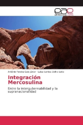 Kniha Integración Mercosulina Antônio Pereira Gaio Júnior