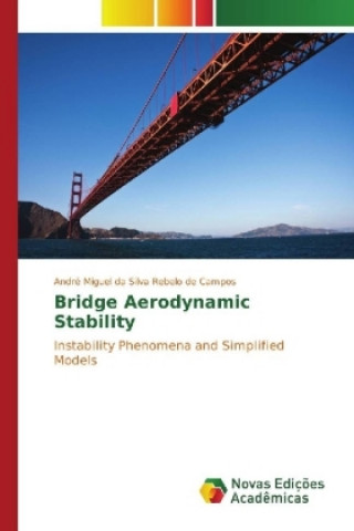 Carte Bridge Aerodynamic Stability André Miguel da Silva Rebelo de Campos