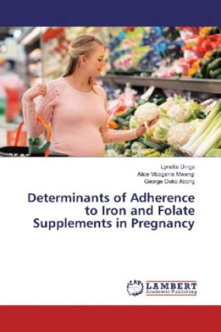 Könyv Determinants of Adherence to Iron and Folate Supplements in Pregnancy Lynette Dinga
