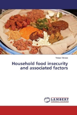 Kniha Household food insecurity and associated factors Yirdaw Melese