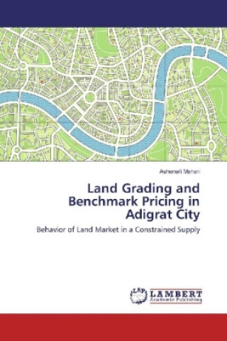 Βιβλίο Land Grading and Benchmark Pricing in Adigrat City Ashenafi Mehari