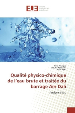 Kniha Qualité physico-chimique de l'eau brute et traitée du barrage Ain Dali Amel Allalgua