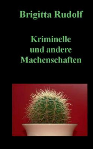 Libro Kriminelle und andere Machenschaften Brigitta Rudolf