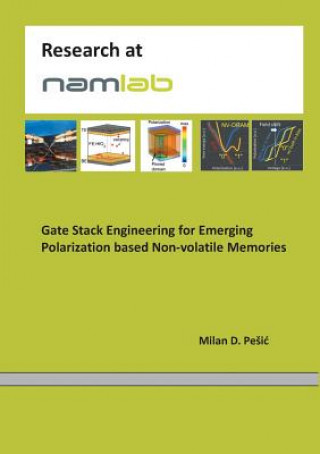 Kniha Gate Stack Engineering for Emerging Polarization based Non-volatile Memories Milan Pesic