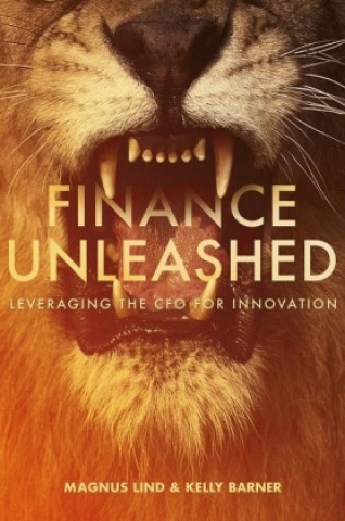 Kniha Finance Unleashed Magnus Lind