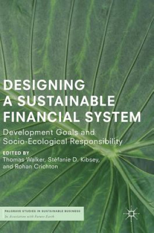 Könyv Designing a Sustainable Financial System Thomas Walker