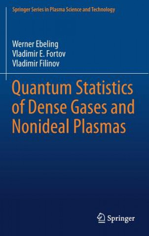 Książka Quantum Statistics of Dense Gases and Nonideal Plasmas Werner Ebeling