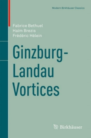 Książka Ginzburg-Landau Vortices Fabrice Bethuel