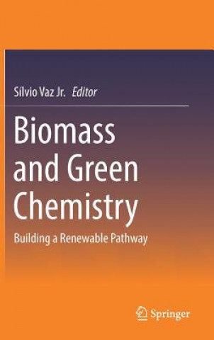 Kniha Biomass and Green Chemistry Silvio Vaz Jr