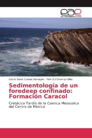 Kniha Sedimentología de un foredeep confinado: Formación Caracol Carlos David Cuevas Barragán