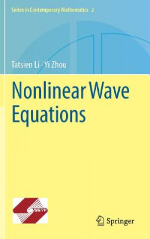 Buch Nonlinear Wave Equations Tatsien Li