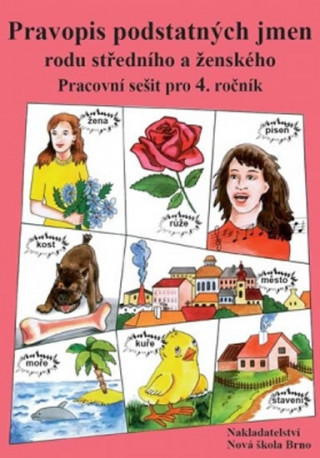 Buch Pravopis podstatných jmen rodu středního a ženského 