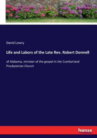 Kniha Life and Labors of the Late Rev. Robert Donnell David Lowry