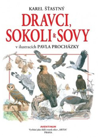 Book Dravci, sokoli a sovy Pavel Šťastný Karel Procházka