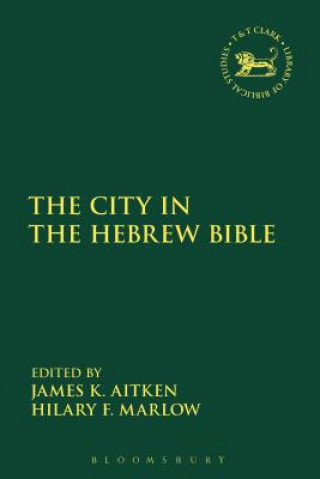 Książka City in the Hebrew Bible James K. Aitken