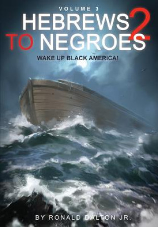 Kniha Hebrews to Negroes 2 Volume 3 RONALD DALTON JR