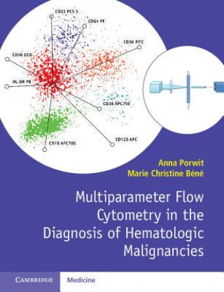 Könyv Multiparameter Flow Cytometry in the Diagnosis of Hematologic Malignancies Anna Porwit