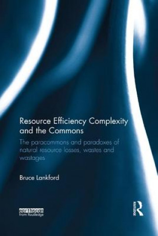 Kniha Resource Efficiency Complexity and the Commons Lankford
