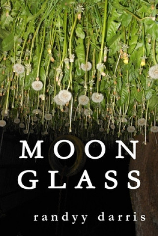 Knjiga Moon Glass RANDYY DARRIS