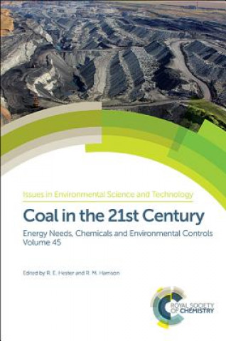 Kniha Coal in the 21st Century Hester