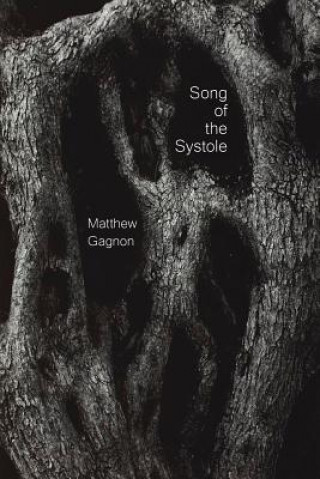 Kniha Song of the Systole MATTHEW GAGNON