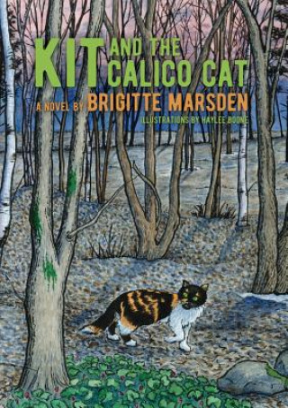 Kniha Kit and the Calico Cat BRIGITTE MARSDEN