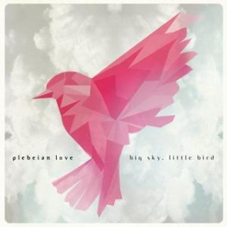 Audio Big sky,little bird Plebeian love