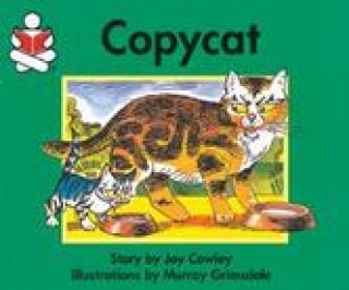 Książka Story Box, Copycat Joy Cowley