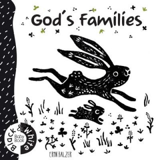 Kniha God's Families Erin Balzer