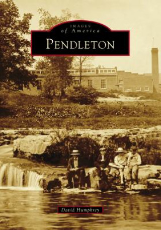 Kniha Pendleton David Humphrey