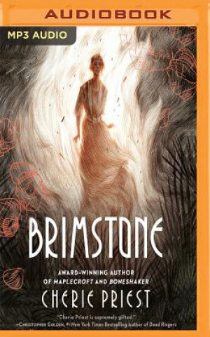 Digital Brimstone Cherie Priest