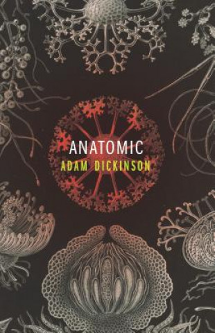 Kniha Anatomic Adam Dickinson