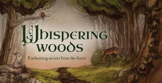 Книга Whispering Woods Inspiration Cards: Enchanting Secrets from the Forest Jessica Le