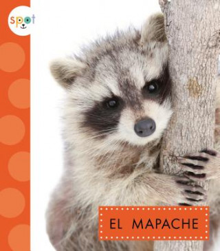 Kniha El Mapache (Raccoons) Marysa Storm