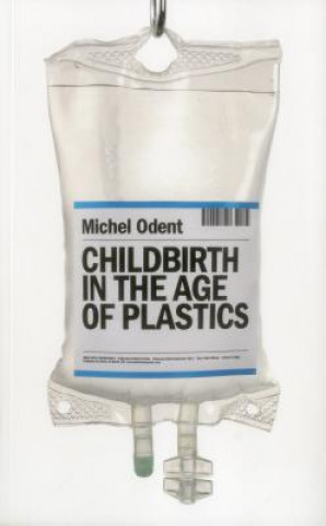 Könyv Childbirth in the Age of Plastics Michel Odent