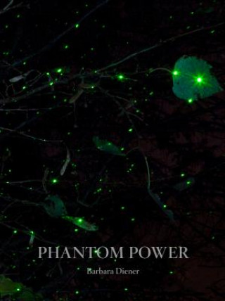 Kniha Phantom Power Alison Grant