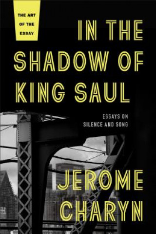 Carte In the Shadow of King Saul Jerome Charyn