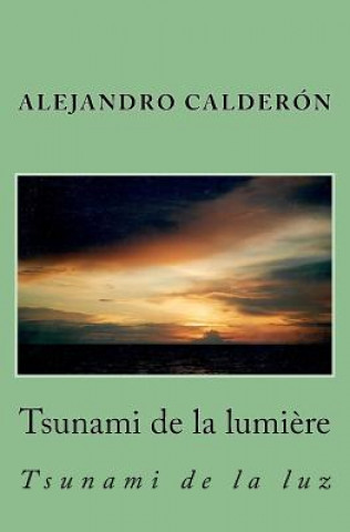 Könyv Tsunami de la Lumiere: Tsunami de la Luz M. Alejandro Calderon