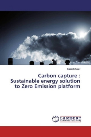 Könyv Carbon capture : Sustainable energy solution to Zero Emission platform Manish Gaur
