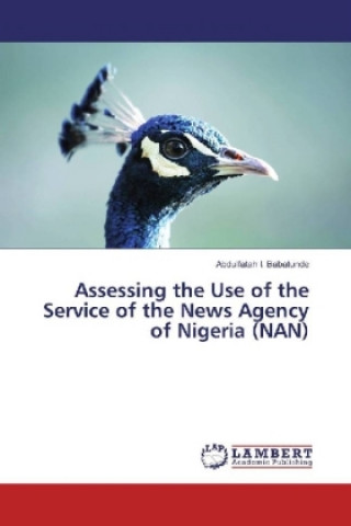 Kniha Assessing the Use of the Service of the News Agency of Nigeria (NAN) Abdulfatah I. Babatunde